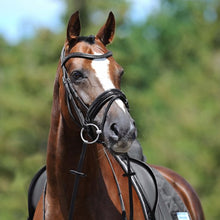 Passier Apollo Snaffle Bridle