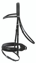 Passier Apollo Snaffle Bridle