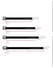 Sapphire, Lt. Sapphire Mix Leather Belt