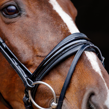 SD Marzog Anniversary Bridle LIMITED EDITION Black/Patent