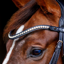 SD Marzog Anniversary Bridle LIMITED EDITION Black/Patent