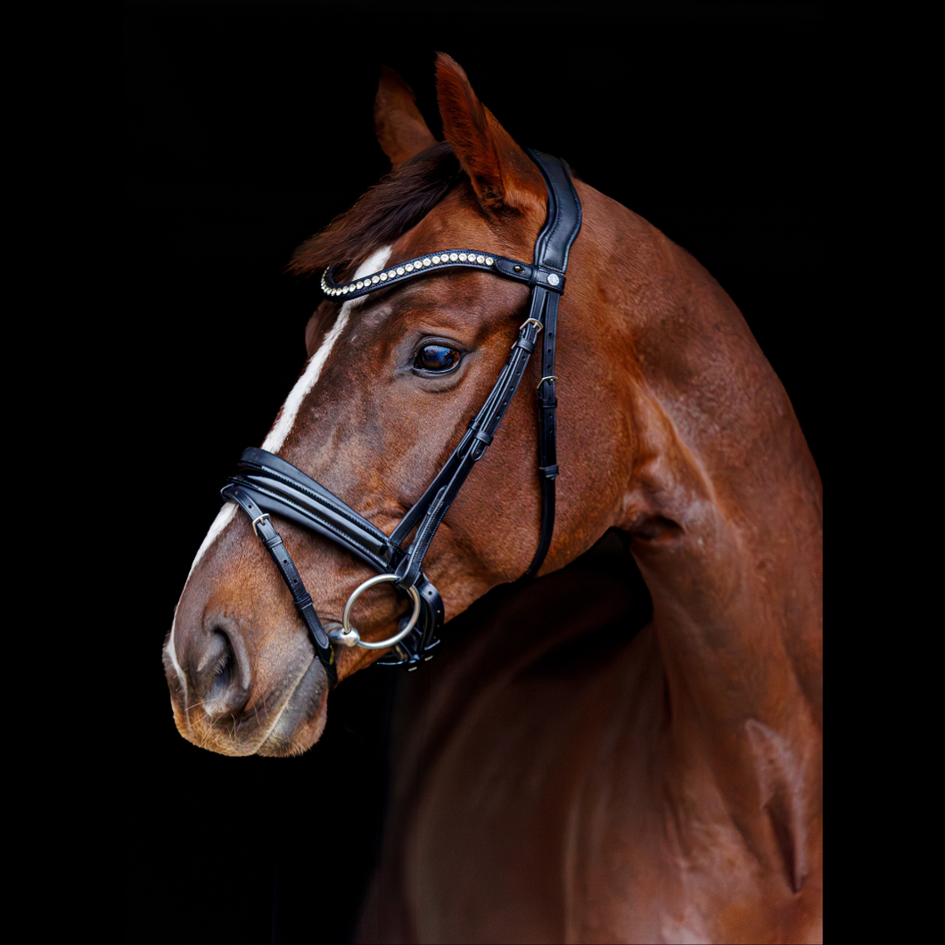 SD Marzog Anniversary Bridle LIMITED EDITION Black/Patent