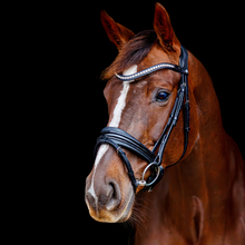 SD Marzog Anniversary Bridle LIMITED EDITION Black/Patent