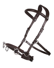 QHP Leather Lunging Cavesson