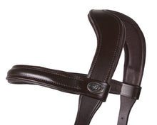 QHP Leather Lunging Cavesson