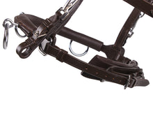 QHP Leather Lunging Cavesson