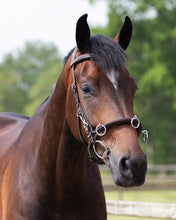 QHP Leather Lunging Cavesson