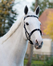 QHP Leather Lunging Cavesson