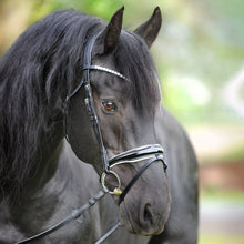 Kavalkade Bridle Juliana KavalSH4