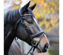 Kavalkade Bridle Juliana KavalSH4