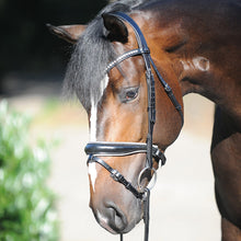Kavalkade Charlotte  Bridle