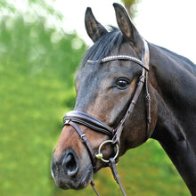 Kavalkade Charlotte  Bridle