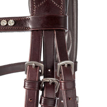 Kavalkade Charlotte  Bridle