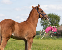 QHP Horse Toy