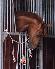 QHP Horse Toy Box Hanger