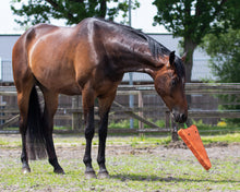 QHP Horse Toy XL