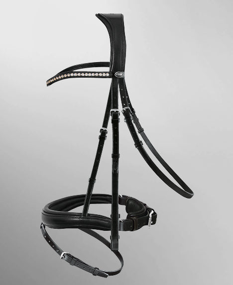 Passier Atlas Bridle