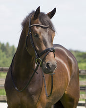 QHP Bridle Amor