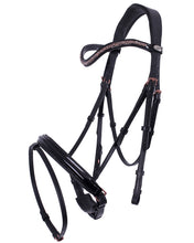 QHP Bridle Amor