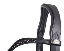 QHP Chianti Bridle