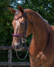 QHP Chianti Bridle