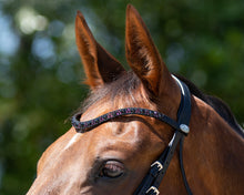 QHP Chianti Bridle