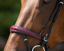 QHP Chianti Bridle