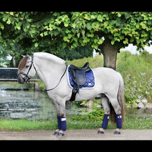 SD MY PASSION COLLECTION SADDLEPAD