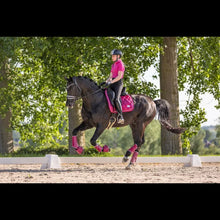 SD A Million Dreams Dressage Pad