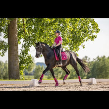 SD A Million Dreams Dressage Pad