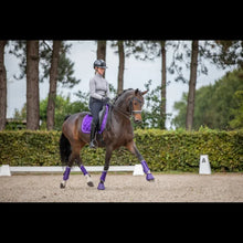 SD A Million Dreams Dressage Pad