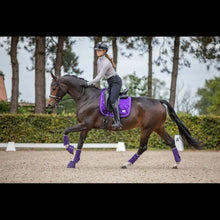 SD A Million Dreams Dressage Pad