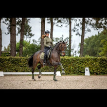 SD A Million Dreams Dressage Pad