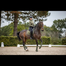 SD A Million Dreams Dressage Pad