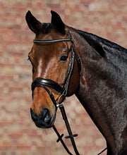 Passier Gemini Snaffle Bridle