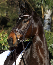 Passier Apollo Snaffle Bridle