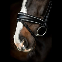 SD Celebrity Bridle