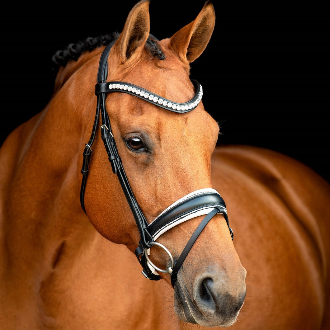 SD Celebrity Bridle