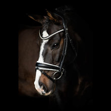 SD Celebrity Bridle
