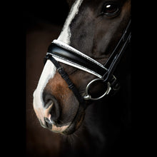 SD Celebrity Bridle
