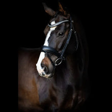 SD Noseband With Flash