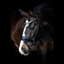 SD Noseband With Flash