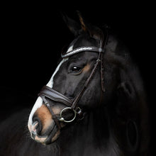 SD Danciero Bridle
