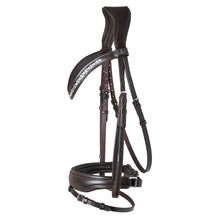 SD Danciero Bridle