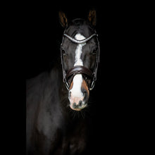 SD Danciero Bridle
