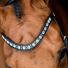 SD Alganto Browband