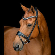 SD Alganto Browband