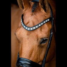 SD Alganto Browband