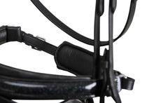 SD MYSTERY BRIDLE