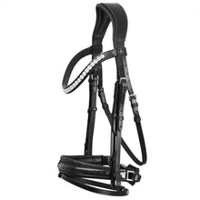 SD MYSTERY BRIDLE